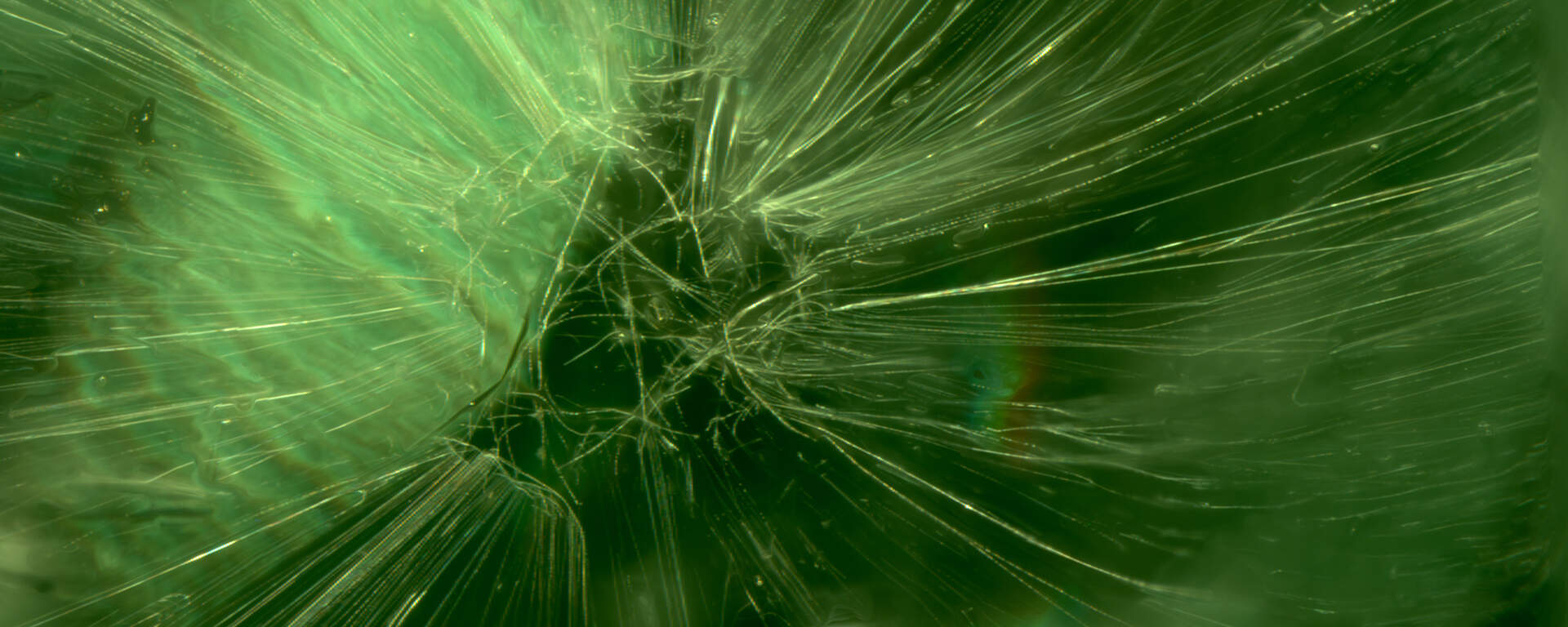 Inclusions of chrysotile fibres in demantoide garnet from Ural Mountains, Russia