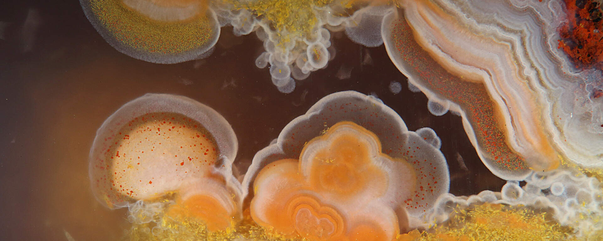 Agate from Anzi, Maroc