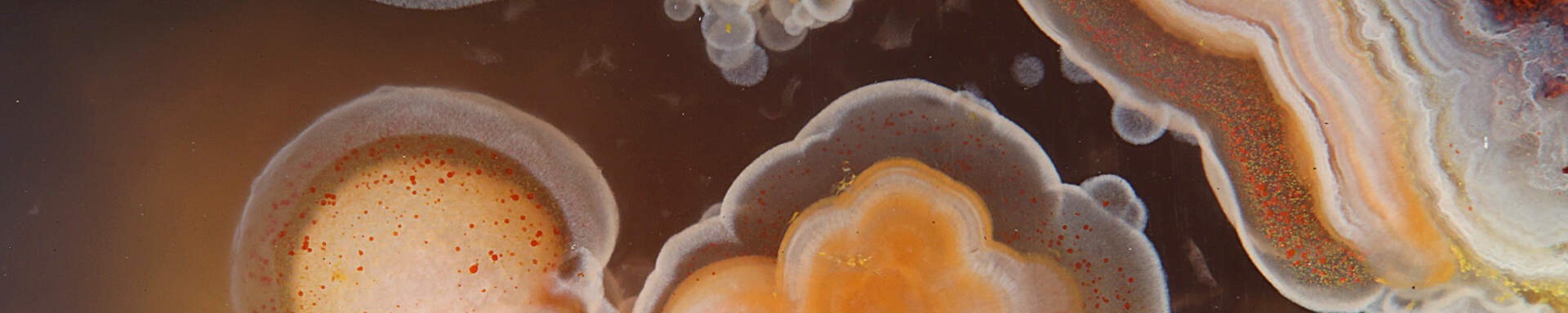 Agate from Anzi, Maroc