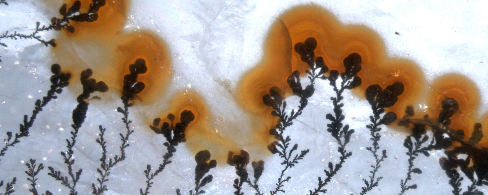 Dendrites in agate